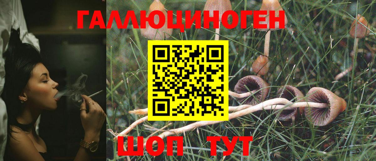 Галлюциногенные грибы Magic Shrooms Обнинск